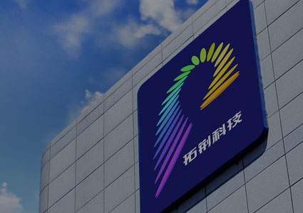 十大电子游戏平台网站(电子)有限公司